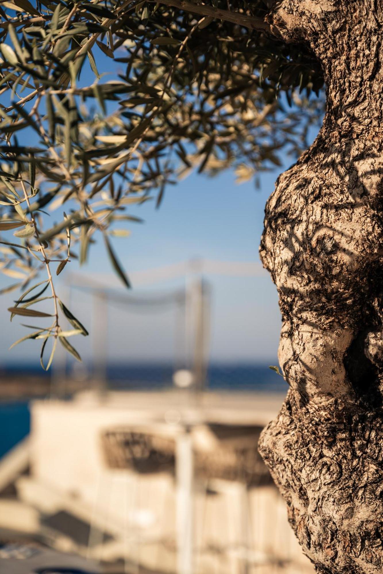 XVI Suites - Adults Only Naxxar Luaran gambar